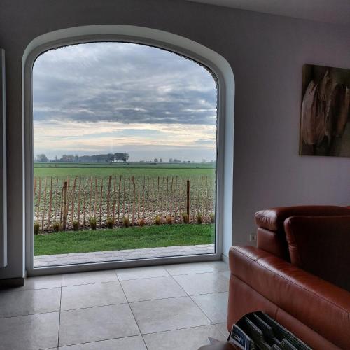 a room with a window with a view of a vineyard at Florentinus met hottub, afgesloten tuin en overdekt terras in Veurne