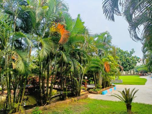 a group of palm trees in a park at Sambodhi Retreat in Dhanbād