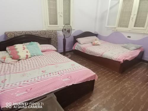2 camas individuais num quarto com paredes roxas em استراحه وفيلا ومكان ترفيهي 