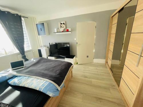 1 dormitorio con 1 cama y TV en Feel like home en Horní Slavkov