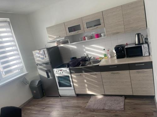 a kitchen with a sink and a refrigerator at Feel like home in Horní Slavkov
