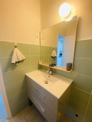 une salle de bain avec un lavabo et un miroir dans l'établissement Studio centre-ville a quelque pas de la plage - WIFI, à La Grande Motte
