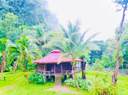Imagen de la galería de Khaosok Monkeys & River Camps, en Khao Sok