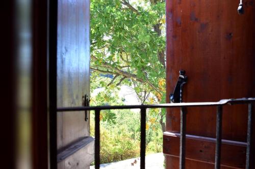 an open window with a view of a tree at b&b CASCINA SORTINA Country House in Ozzano Monferrato