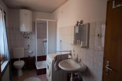 a bathroom with a sink and a toilet at Apartment "Johana" in Brod Moravice