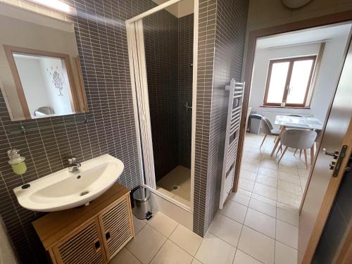 a bathroom with a sink and a shower at TATRANSKY DOM sk in Veľký Slavkov