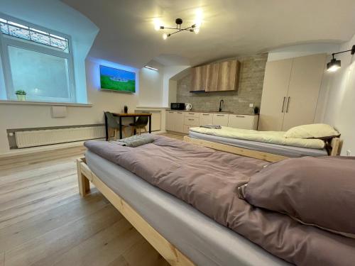 two beds in a large room with a kitchen at Modern guest house in city center I Room 1 in Vilnius