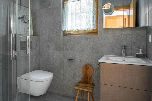 uma casa de banho com um WC, um lavatório e um chuveiro em Am Bühl EG em Bettmeralp