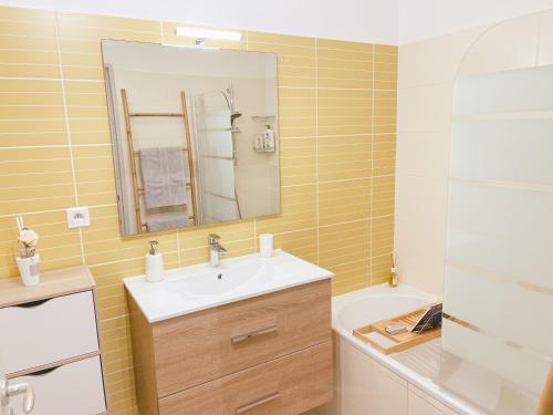 La salle de bains est pourvue d'un lavabo, d'un miroir et d'une baignoire. dans l'établissement zen attitude, à Saint-Denis