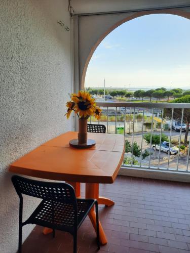 STUDIO PROCHE MER ETANGS ET CANAUX