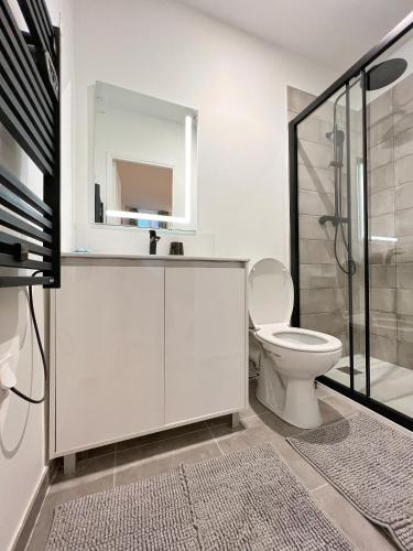 une salle de bain avec toilettes, lavabo et douche dans l'établissement Le Botanique * Hypercentre * Netflix, à Toulouse