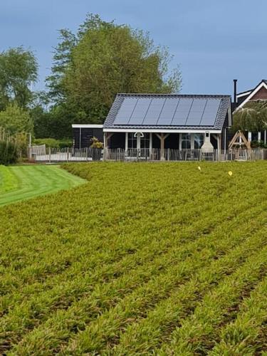 a house with a large field of grass in front of it at wellness chalet met jacuzzi, sauna, omheinde tuin, in Sint Annaland