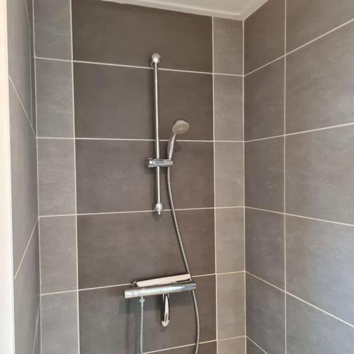 a shower with a shower head in a bathroom at wellness chalet met jacuzzi, sauna, omheinde tuin, in Sint Annaland