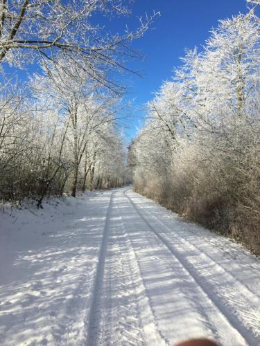 a snow covered road with trees on either side at Ländliches HideAway zwischen Hamburg und Lübeck in Köthel