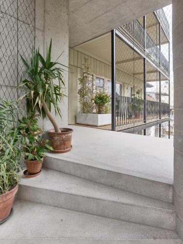 a group of potted plants on the stairs of a building at Gemütliche Wohnung im Herzen von Linz in Linz