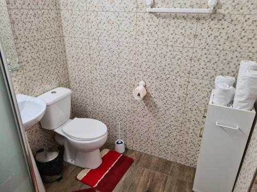 a small bathroom with a toilet and a sink at Casa Anne in Mangalia