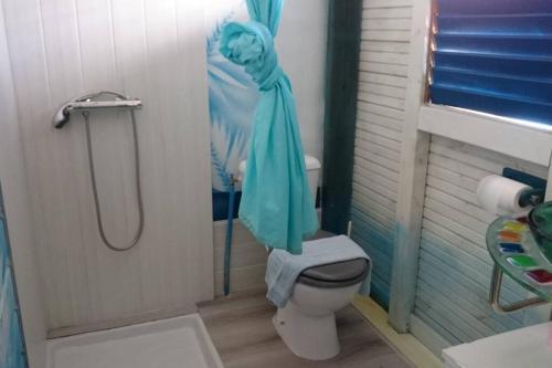 a bathroom with a shower and a toilet with a shower curtain at Gîtes tit'anse Léo et l'eau, piscine commune in Cadet