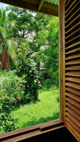 a window view of a garden from a house at Old Bocasso in Bocas del Toro