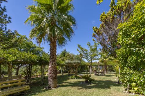 a park with a palm tree and benches at Mille et une Nuits - La Vénus de Lisbonne in Calhandriz