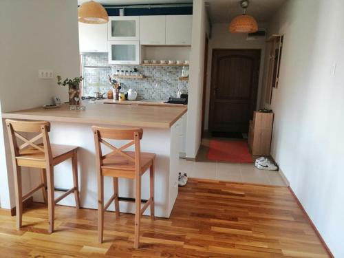 - une cuisine avec 2 chaises et un comptoir dans une pièce dans l'établissement Delightful - Színes és pihentető, à Odorheiu Secuiesc