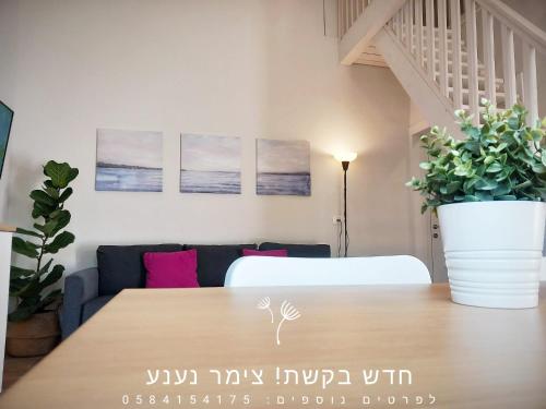 een tafel in een woonkamer met mijn mijn mijn mijn mijn mijn mijn mijn bij נענע in Keshet