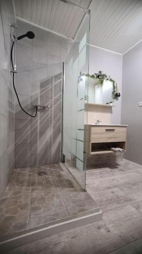 baño con ducha y puerta de cristal en Le cocon en cœur de ville en Prades