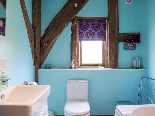 bagno con pareti blu, servizi igienici e lavandino di The Granary a Kingsland