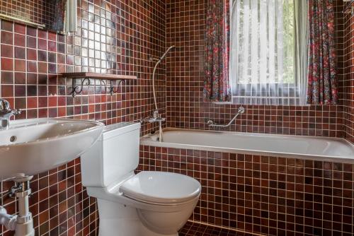 een badkamer met een toilet, een wastafel en een bad bij Polaris in Bettmeralp