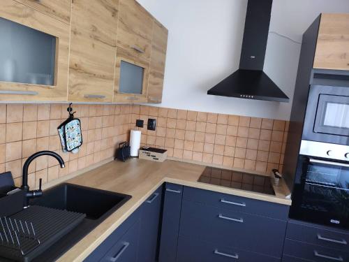 eine Küche mit blauen Schränken und einem Waschbecken in der Unterkunft Pihenő Zug Apartman in Budapest