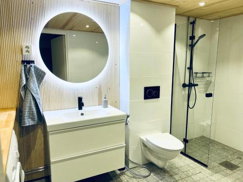 ein Badezimmer mit einem Waschbecken, einem WC und einem Spiegel in der Unterkunft City Apartment Ilmola in Rovaniemi