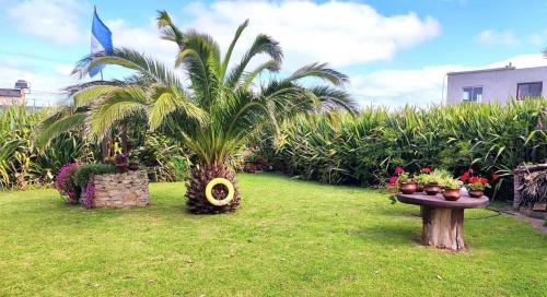 einen Garten mit Palmen und einem Tisch mit Pflanzen in der Unterkunft Coca in Santa Clara del Mar