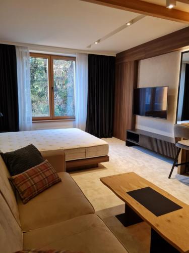 a bedroom with a bed and a couch and a tv at Kopaonik Woodside in Kopaonik