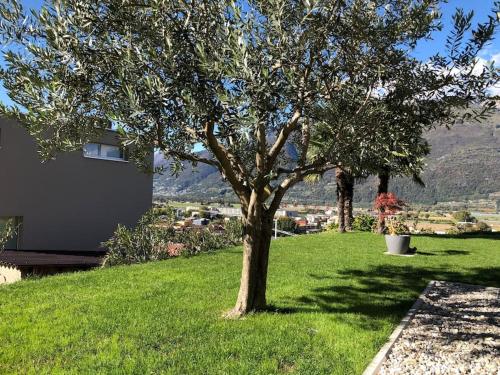 Γενική θέα στο βουνό ή θέα στο βουνό από  αυτό το διαμέρισμα