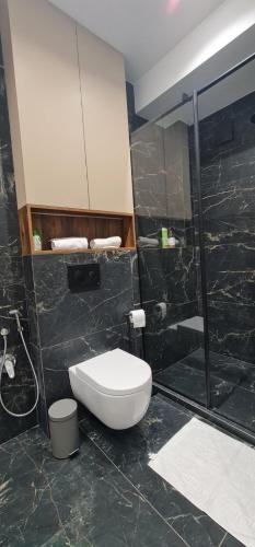 a bathroom with a toilet and a shower at OASIS-RENT in Chişinău