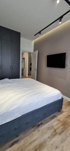 a bedroom with a large bed and a flat screen tv at OASIS-RENT in Chişinău