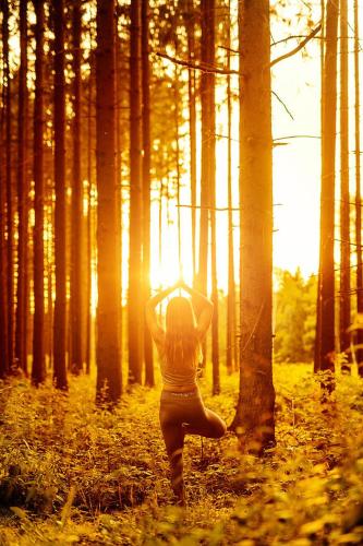 a woman standing in a forest with the sun shining through trees at Penzion Blanko in Nová Bystřice