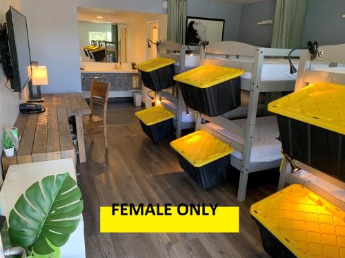a dorm room with bunk beds with yellow accents at Bposhtels Las Vegas in Las Vegas