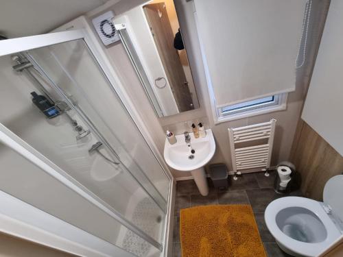 a small bathroom with a shower and a sink at The Beeches Holiday Home- based at Aberdunant Hall Holiday Park in Prenteg