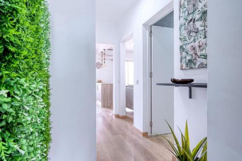 um corredor com uma parede verde numa casa em Faro Center with AC & WiFi em Faro