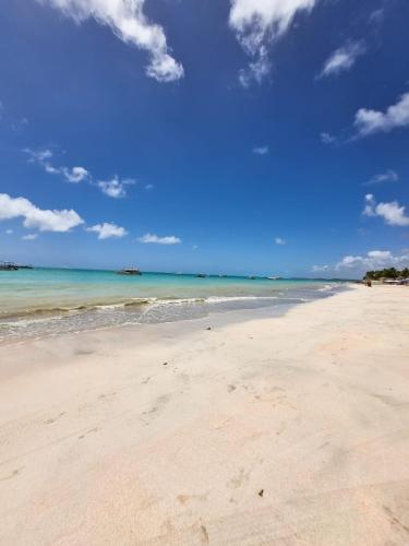 a beach with the ocean and a blue sky at Aloha Beach Guest House in Maragogi