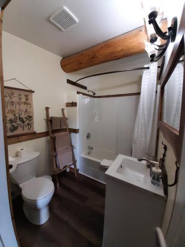 a bathroom with a toilet and a sink and a tub at Arctic Divide Lodge in Dease Lake