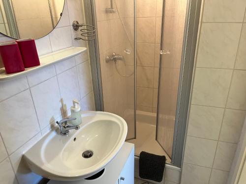 a bathroom with a sink and a shower at Ferienwohnung Nordbrise in Schashagen