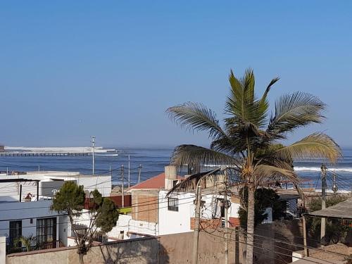 a palm tree in front of a beach with the ocean at Montemar Apart Hotel - Playa Huanchaco in Huanchaco