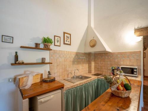 a kitchen with a sink and a counter top at Apartment in Collesalvetti near Pisa in Guasticce