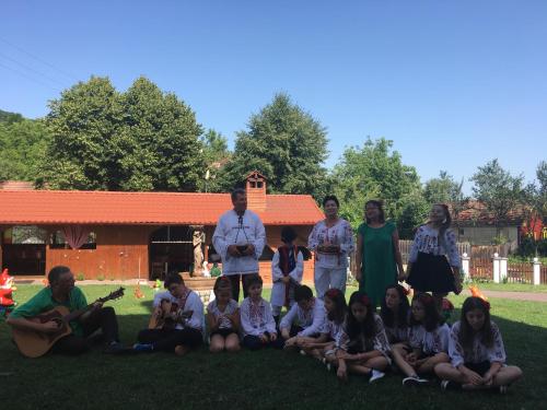 a group of children posing for a picture in the grass at Pensiunea SilvAnka in Vîlcele