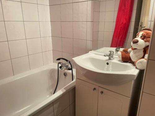 - un ours en peluche assis sur un lavabo dans la salle de bains dans l'établissement Studio cabine, 4 pers, Risoul, proche commerces, Cuisine équipée, Balcon, Animaux acceptés - FR-1-330-559, à Risoul