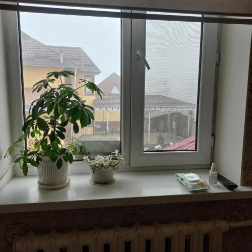 Fotografie z fotogalerie ubytování Hotel "Тихий Дом Трансфер" v destinaci Biškek