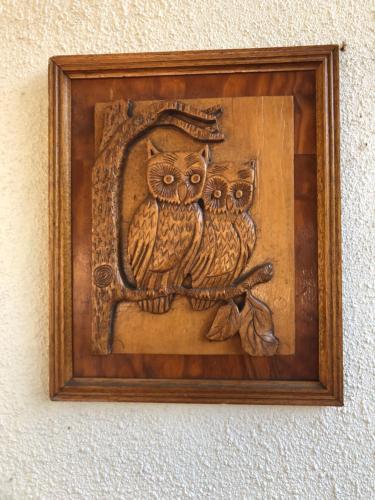 Φωτογραφία από το άλμπουμ του The Spotted Owl στο Κέιπ Τάουν
