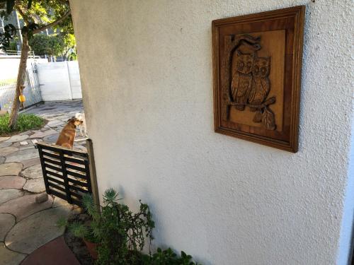 Φωτογραφία από το άλμπουμ του The Spotted Owl στο Κέιπ Τάουν