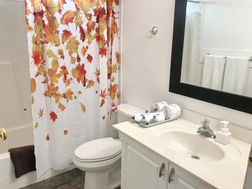 a bathroom with a toilet and a sink and a mirror at Duncan Motel in Duncan